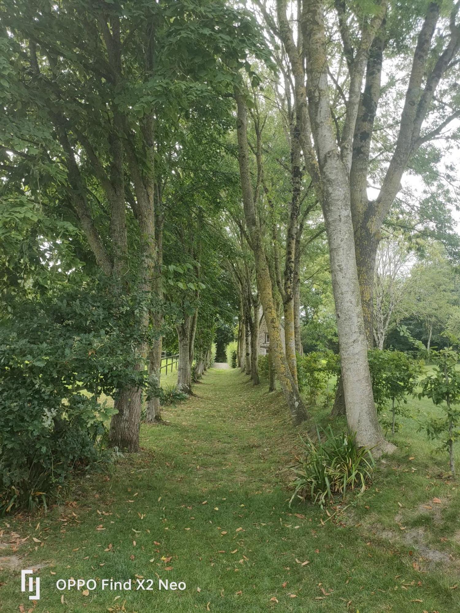 Domaine Du Manoir De Vains Hotel Kültér fotó